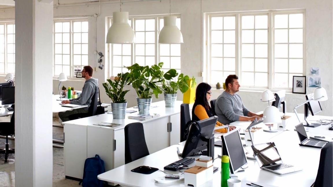 Finanzplanung und Budget-Management
